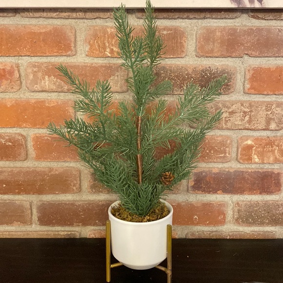 Decorative Potted Tree Shrub on Stand - Picture 1 of 8